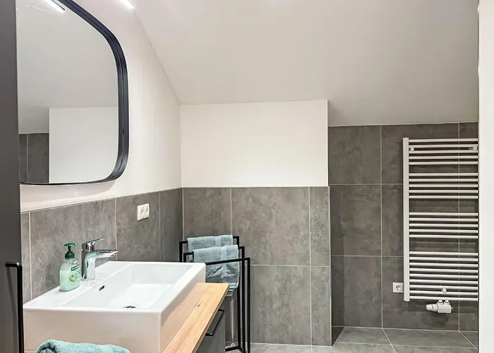 公寓 Leitner By Interhome 费尔兹姆斯